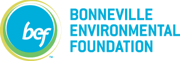 Logo of Bonneville Environmental Foundation (BEF) with a blue circle, green outer ring, and the letters ‘bef’ in white.