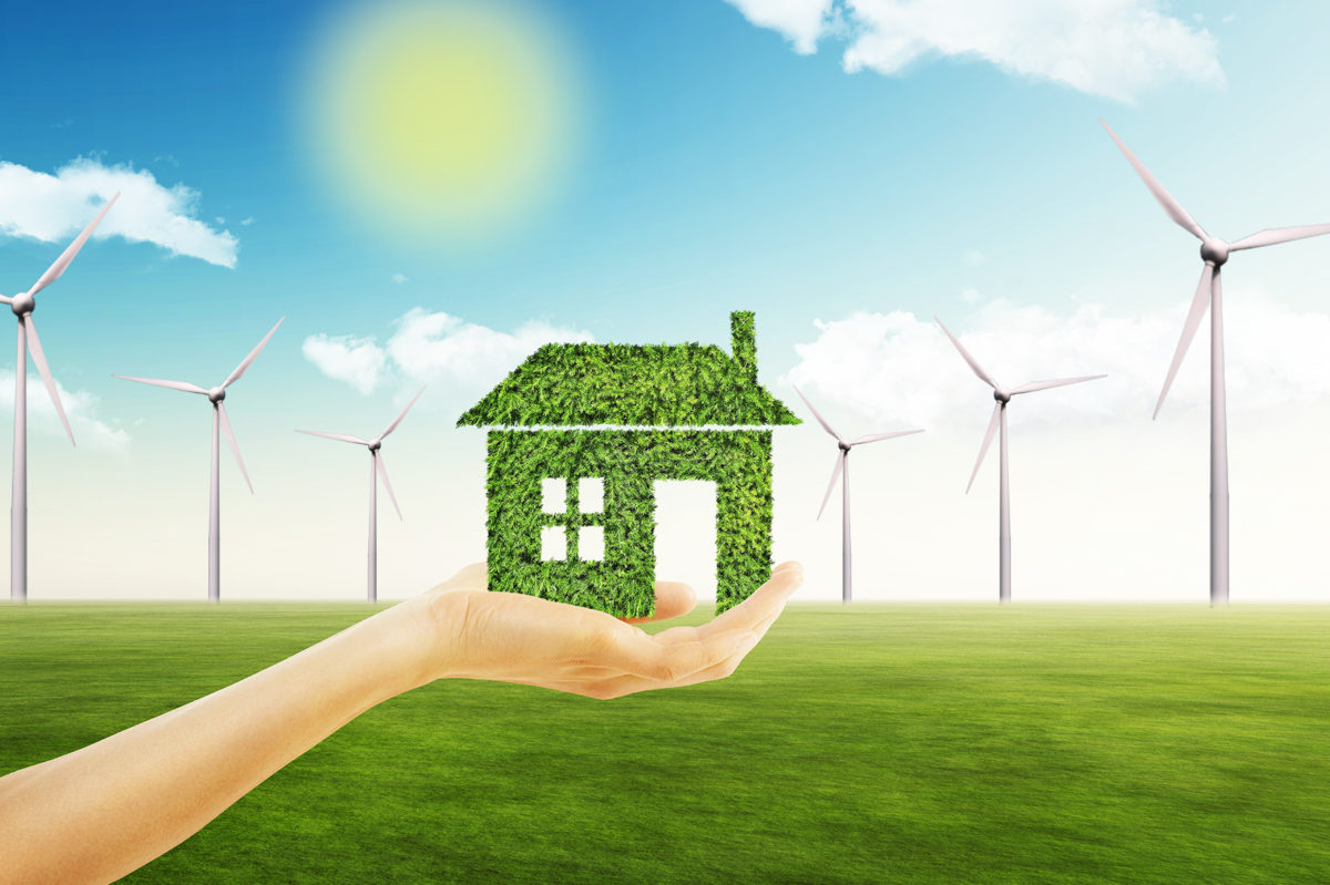 Why You Should Consider Creating an Eco-Friendly Home and How to Go ...