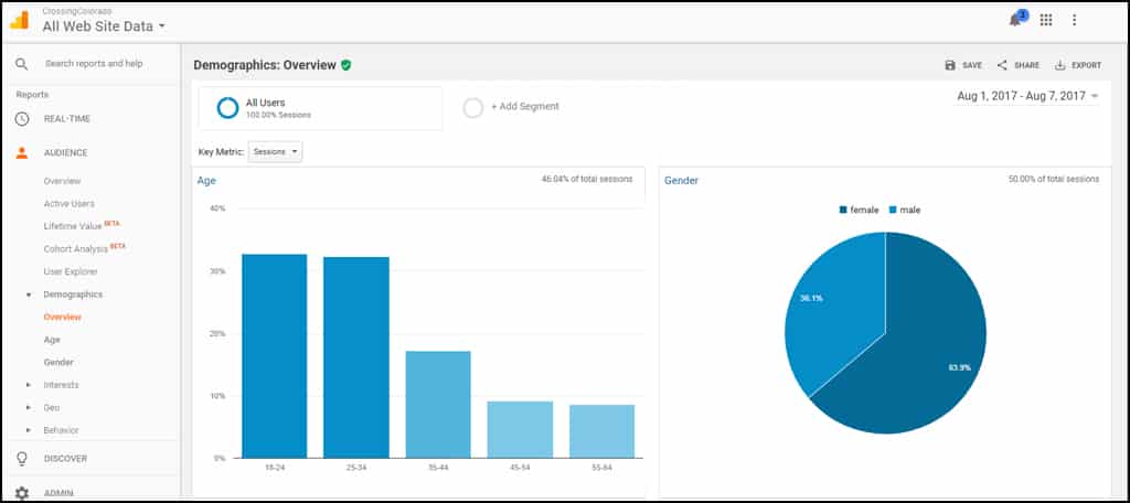 Google Analytics Demographics