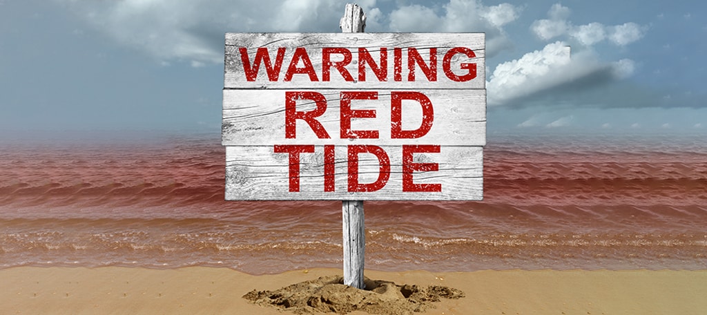 What Causes Red Tide
