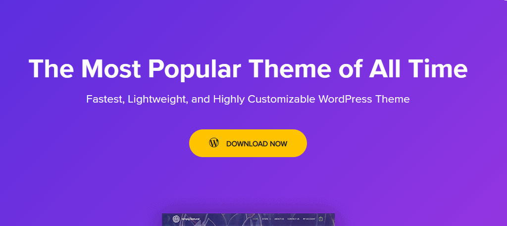 Astra is one of the best WordPress themes