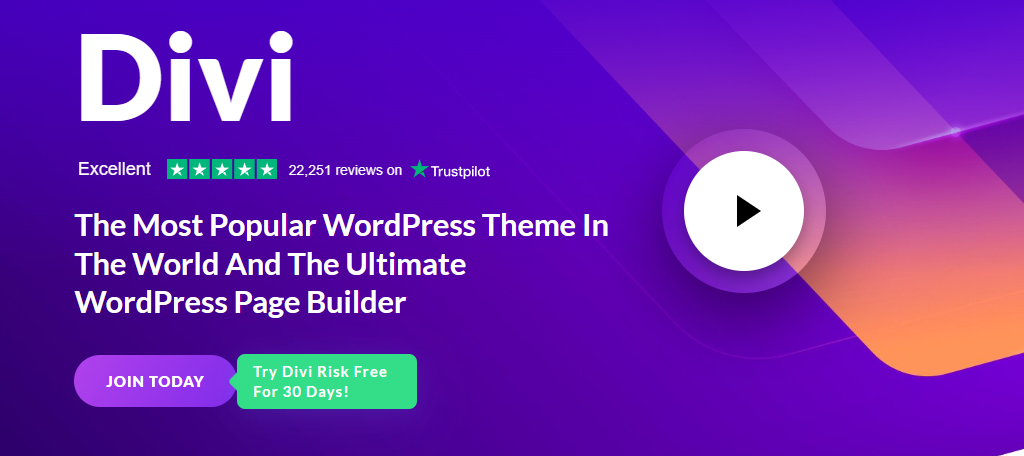 Divi is one of the best themes for a small business
