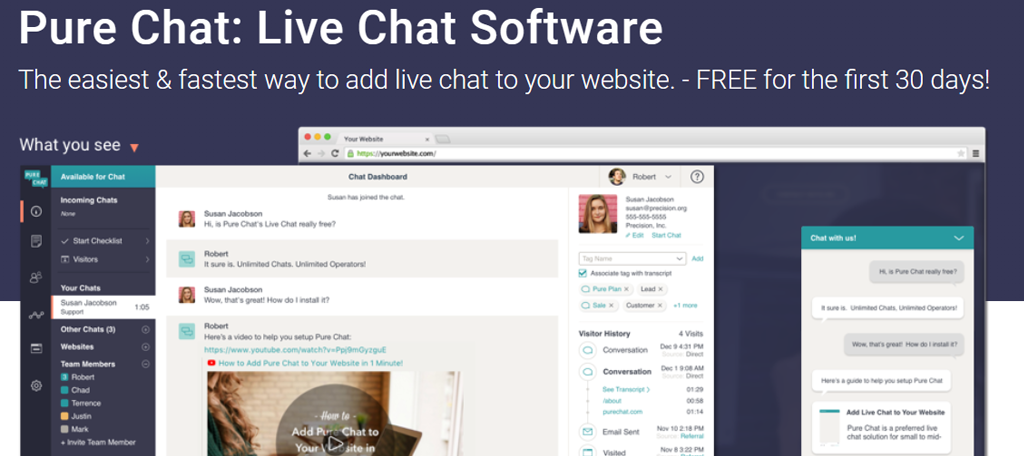 Pure Chat is a great live chat plugin for WordPress