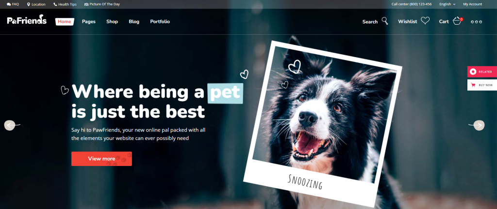 PawFriends pets themes wordpress