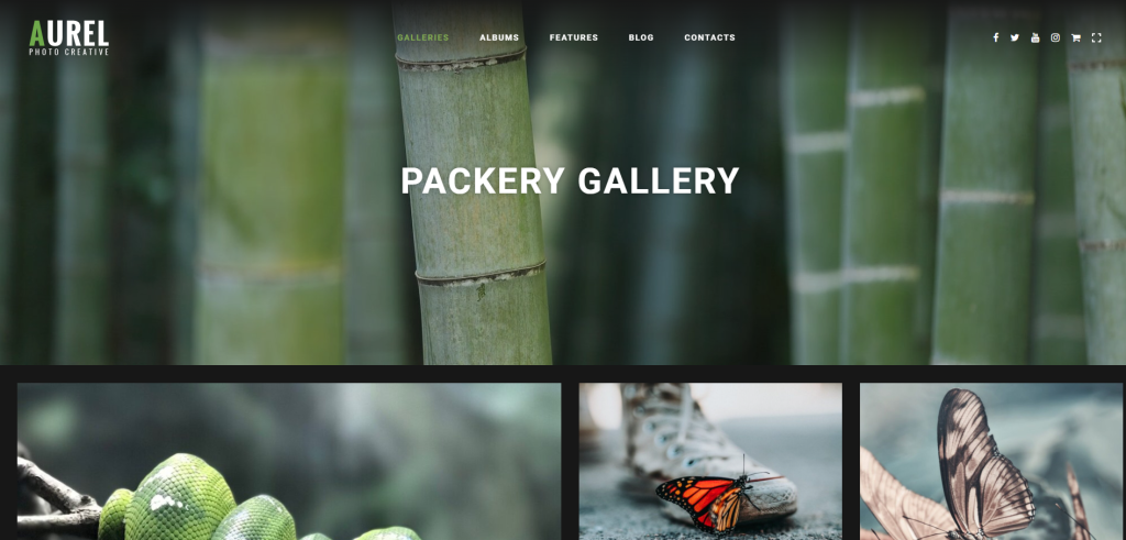 Aurel photography theme