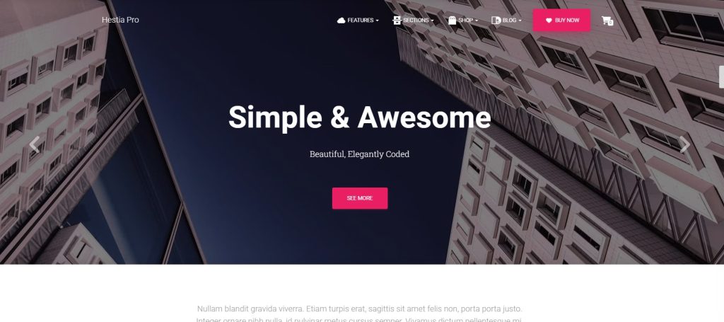 Hestia Pro photography theme