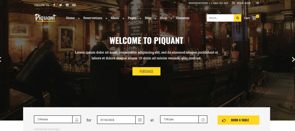 Piquant bar WordPress theme