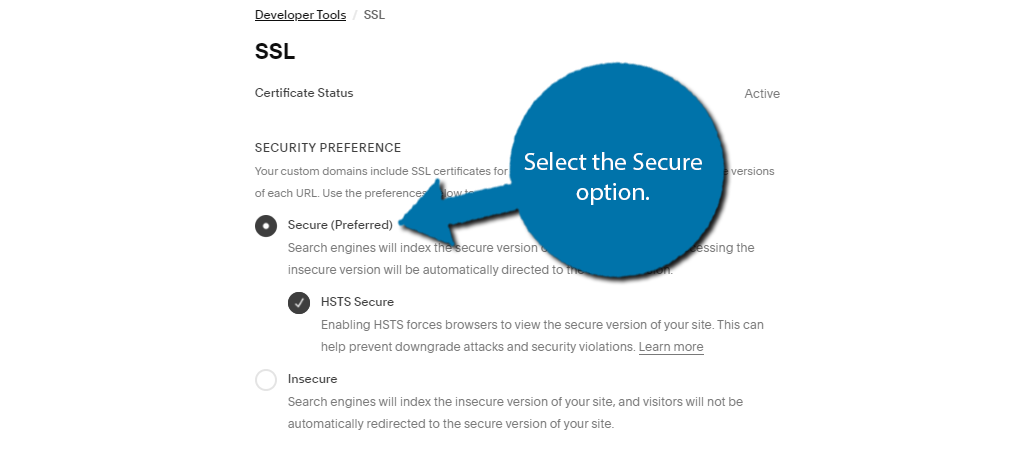 Secure Squarespace SEO