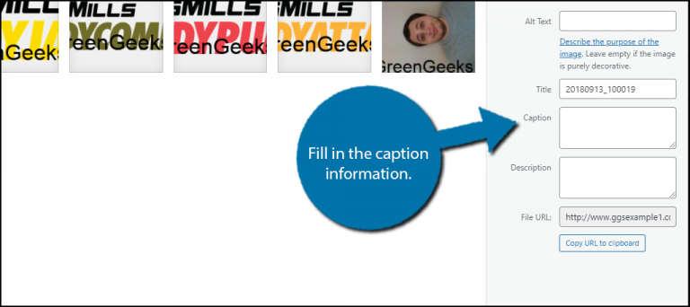 How To Add A Caption To A Photo In Wordpress And Why Greengeeks 6067