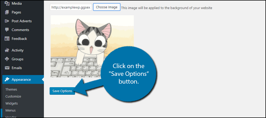 click on the "Save Options" button.