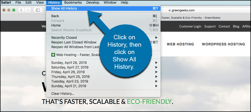 Click on history then show all history in safari browser