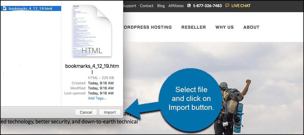 Select bookmarks file and click the import button