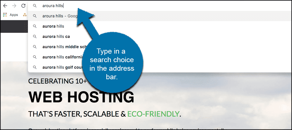 Type a search selection in the address bar of google chrome