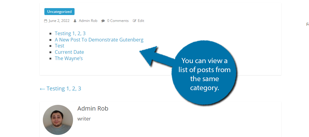 View the List of Category Posts
