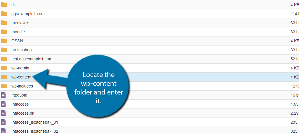 How to Change the Title Placeholder for WordPress Content