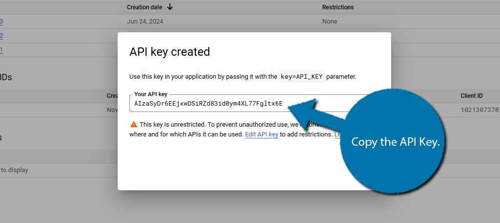 Copy the API key