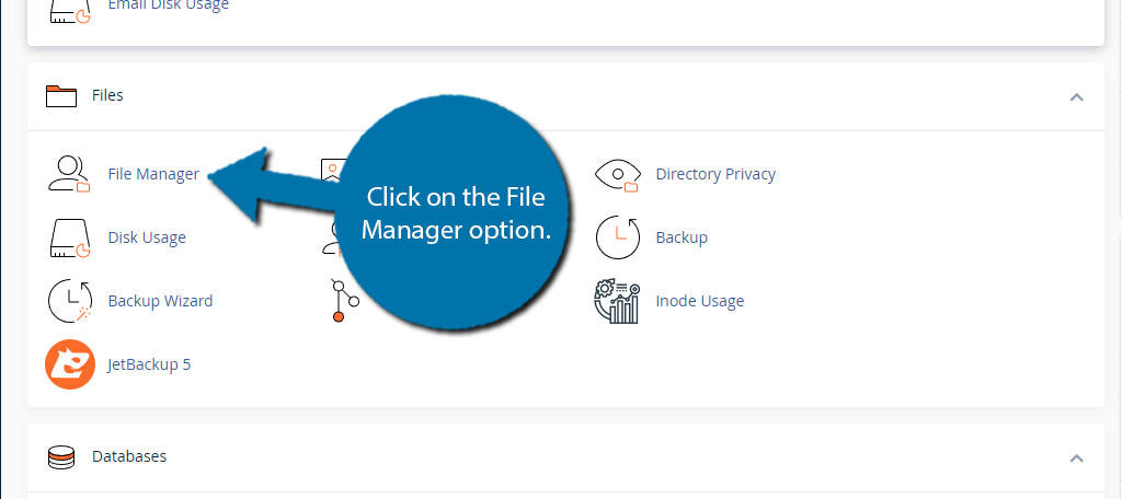 File Manager