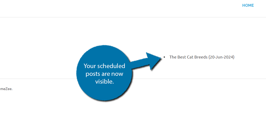 Show Scheduled Posts in WordPress