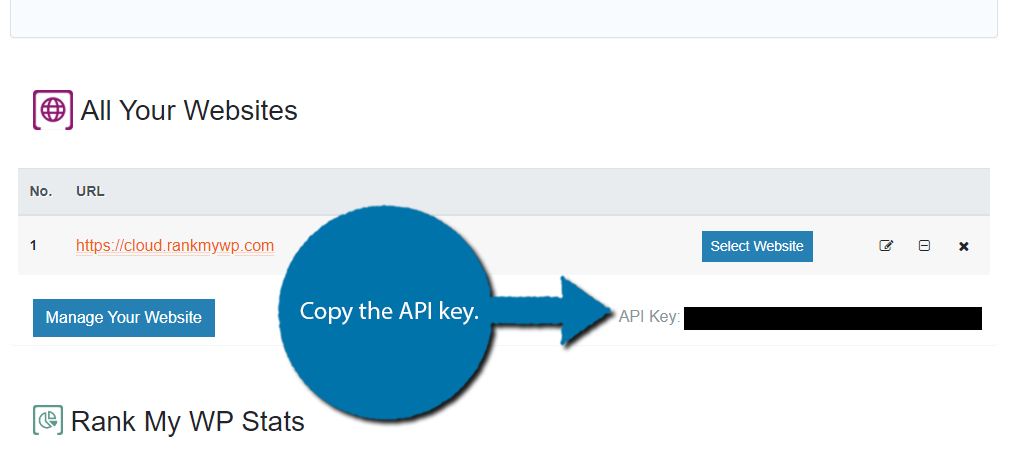 Copy API Key