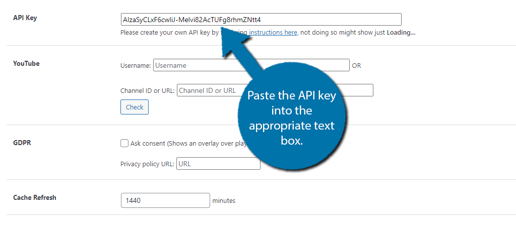 Paste API Key in YourChannel